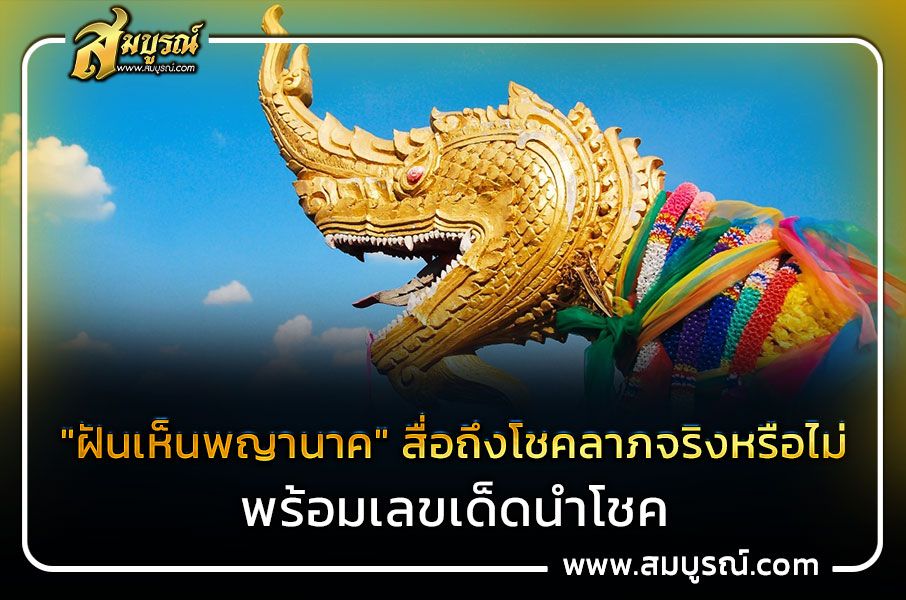 "ฝันเห็นพญานาค" สื่อถึงโชคลาภจริงหรือไม่ พร้อมแนะเลขเด็ดนำโชค